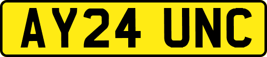 AY24UNC