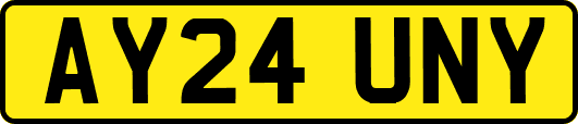AY24UNY