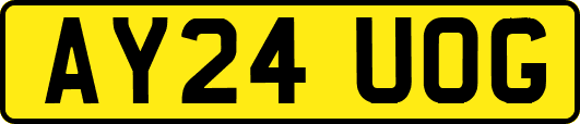 AY24UOG