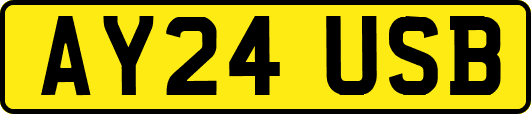 AY24USB