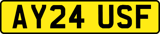 AY24USF