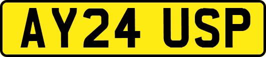 AY24USP