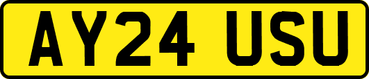 AY24USU