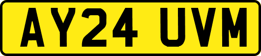 AY24UVM