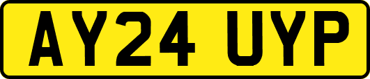 AY24UYP