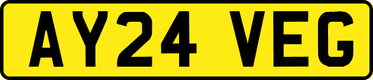 AY24VEG