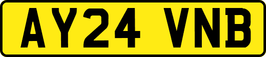 AY24VNB