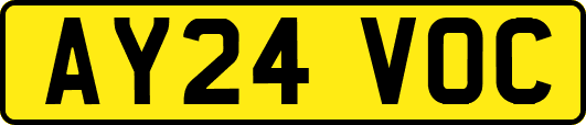 AY24VOC