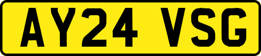 AY24VSG