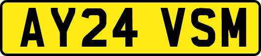 AY24VSM
