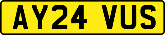 AY24VUS