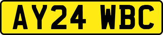 AY24WBC