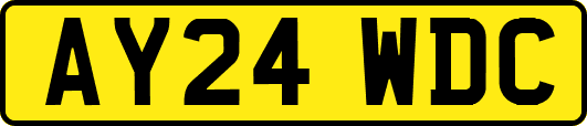 AY24WDC