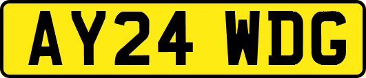 AY24WDG