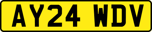 AY24WDV