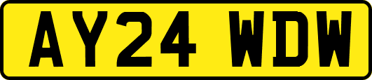 AY24WDW