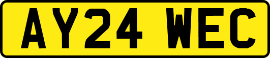 AY24WEC