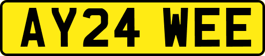 AY24WEE