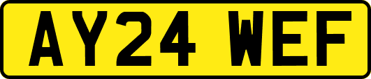 AY24WEF