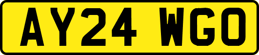 AY24WGO