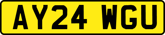 AY24WGU