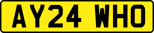 AY24WHO