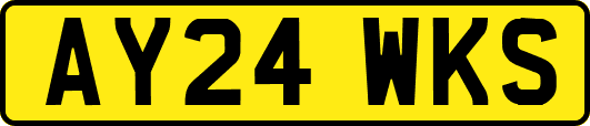 AY24WKS