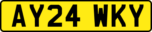 AY24WKY