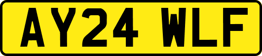 AY24WLF