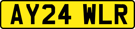 AY24WLR