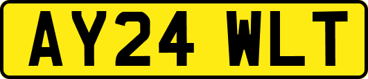 AY24WLT