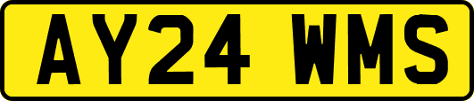 AY24WMS