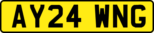 AY24WNG