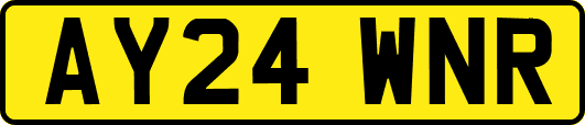 AY24WNR