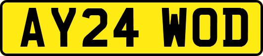 AY24WOD