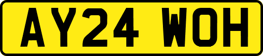 AY24WOH