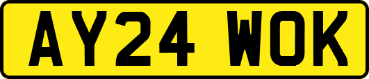 AY24WOK