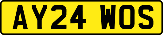 AY24WOS