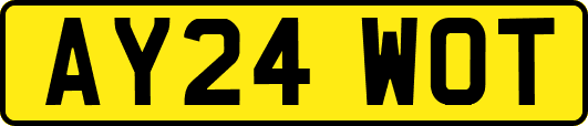 AY24WOT