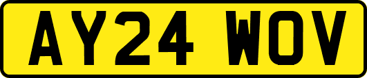 AY24WOV