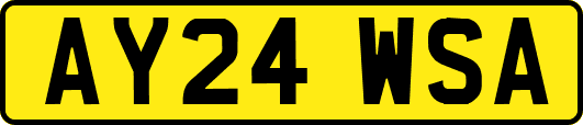 AY24WSA