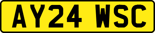 AY24WSC