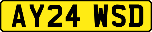 AY24WSD