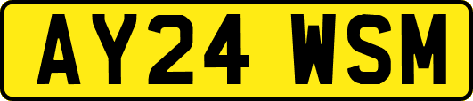 AY24WSM