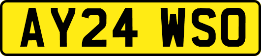 AY24WSO