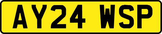 AY24WSP
