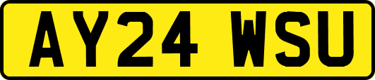 AY24WSU