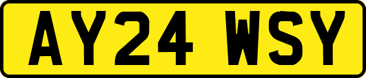 AY24WSY