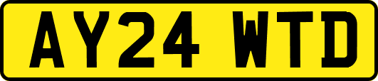 AY24WTD