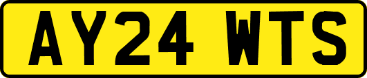 AY24WTS